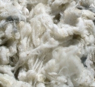 photo de laine brute